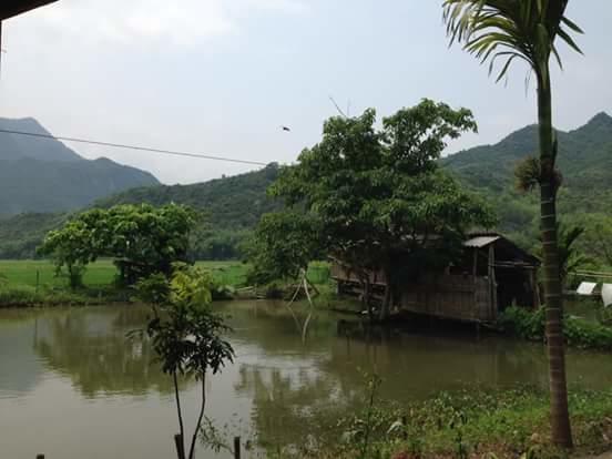 Linh Soi Homestay Майтяу Екстер'єр фото