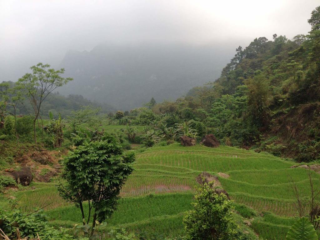 Linh Soi Homestay Майтяу Екстер'єр фото